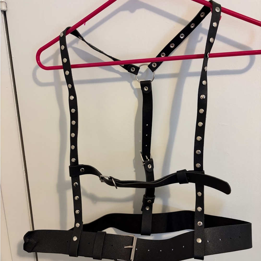Black Leather Harness with Silver Accents